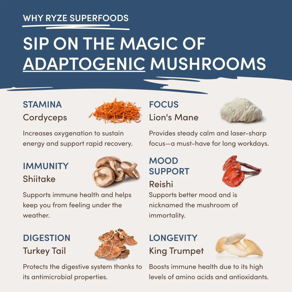RYZE Nighttime Mushroom Cocoa Starter Bag - Image 3