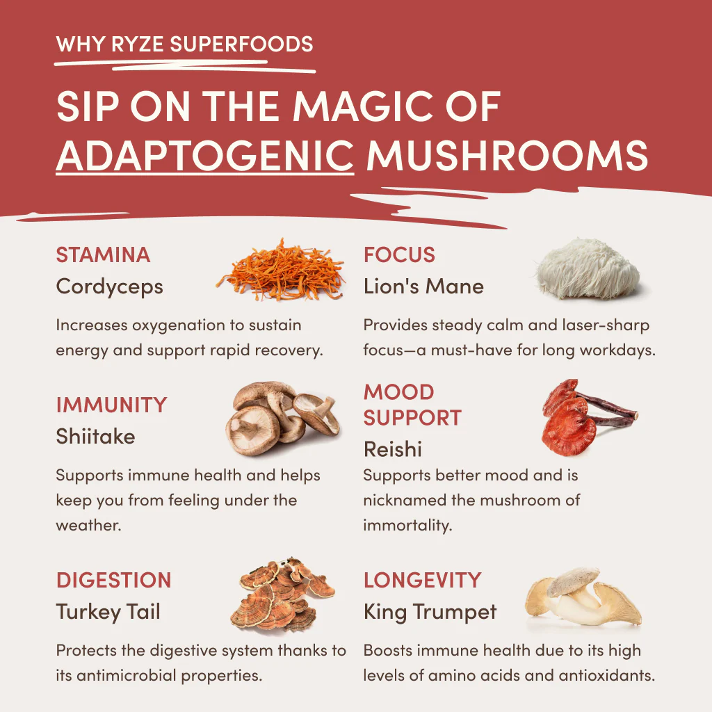 RYZE Mushroom Chai Starter Bag - Image 4